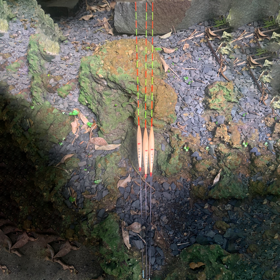 zo-th-1